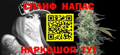 сатива Бузулук