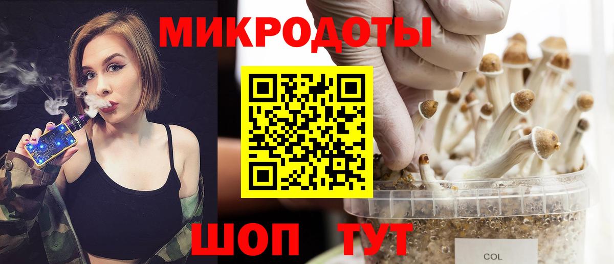 Ростов Великий  закладки  Вход с VPN  Галлюциногенные грибы Psilocybine cubensis 