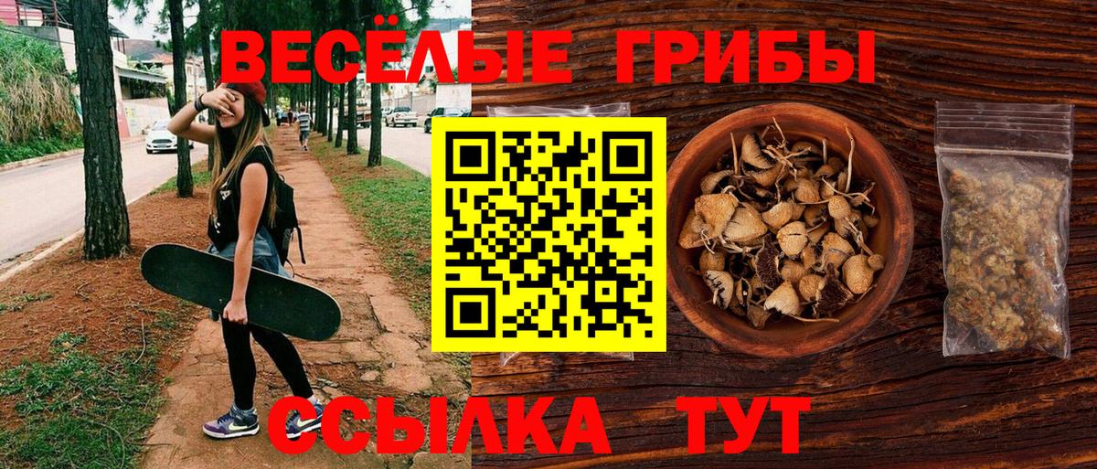 Псилоцибиновые грибы мухоморы Ростов Великий